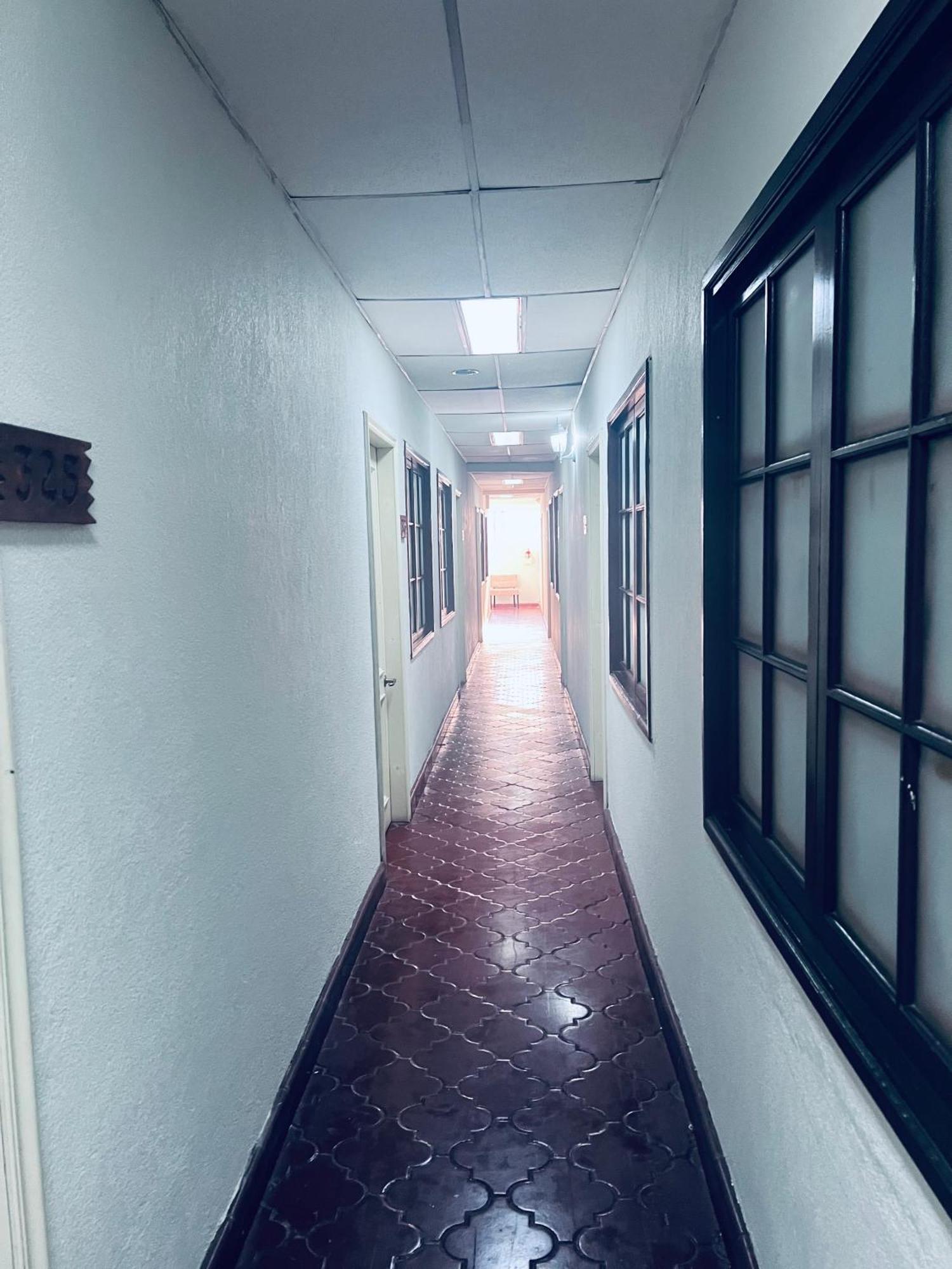 Los Guacamayos La Ceiba Dış mekan fotoğraf
